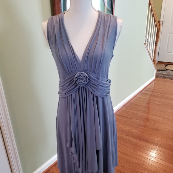 Boston Proper Dresses & Skirts - Boston Proper Blue Cotton Rayon Rose Dress